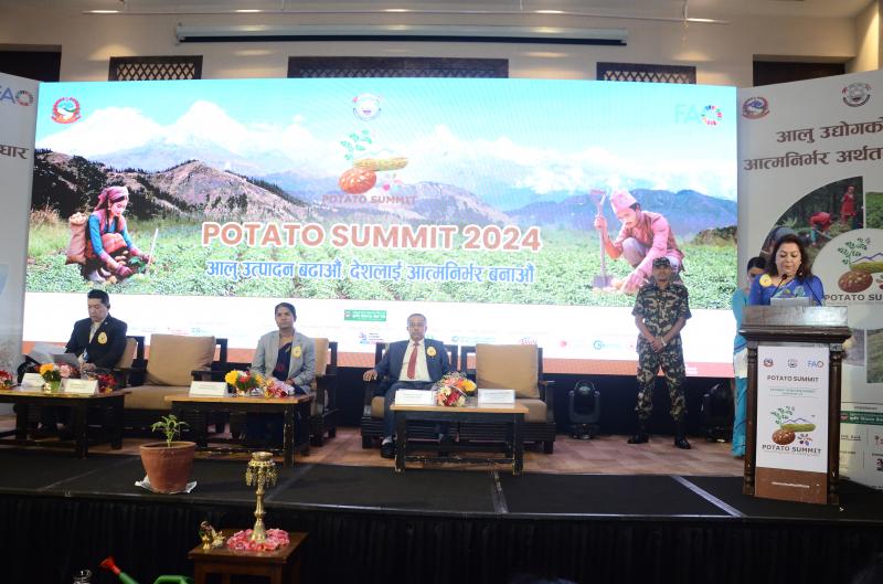 NICCI organizes the First Ever Potato Summit 2024