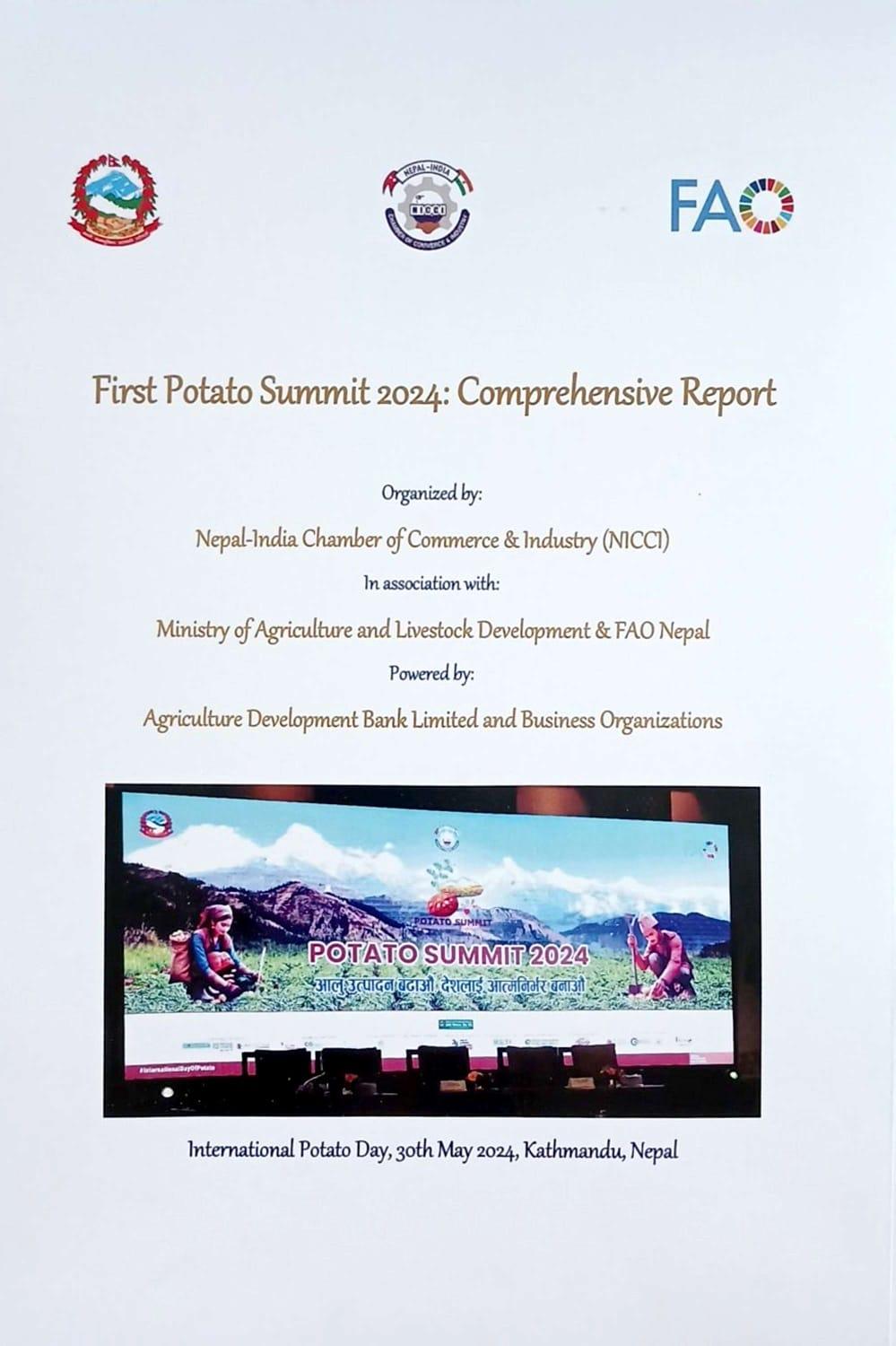 First Potato Summit 2024: Comprehensive Report Icon