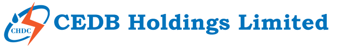 CEDB Holdings Limited Logo