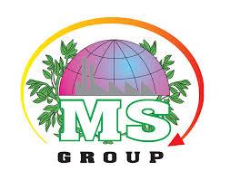 MS Group Logo